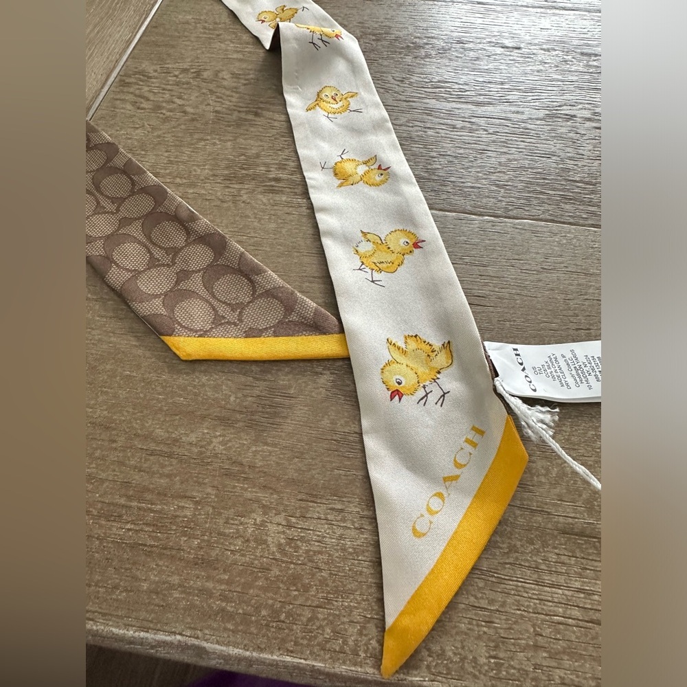 Coach scarf with chicks